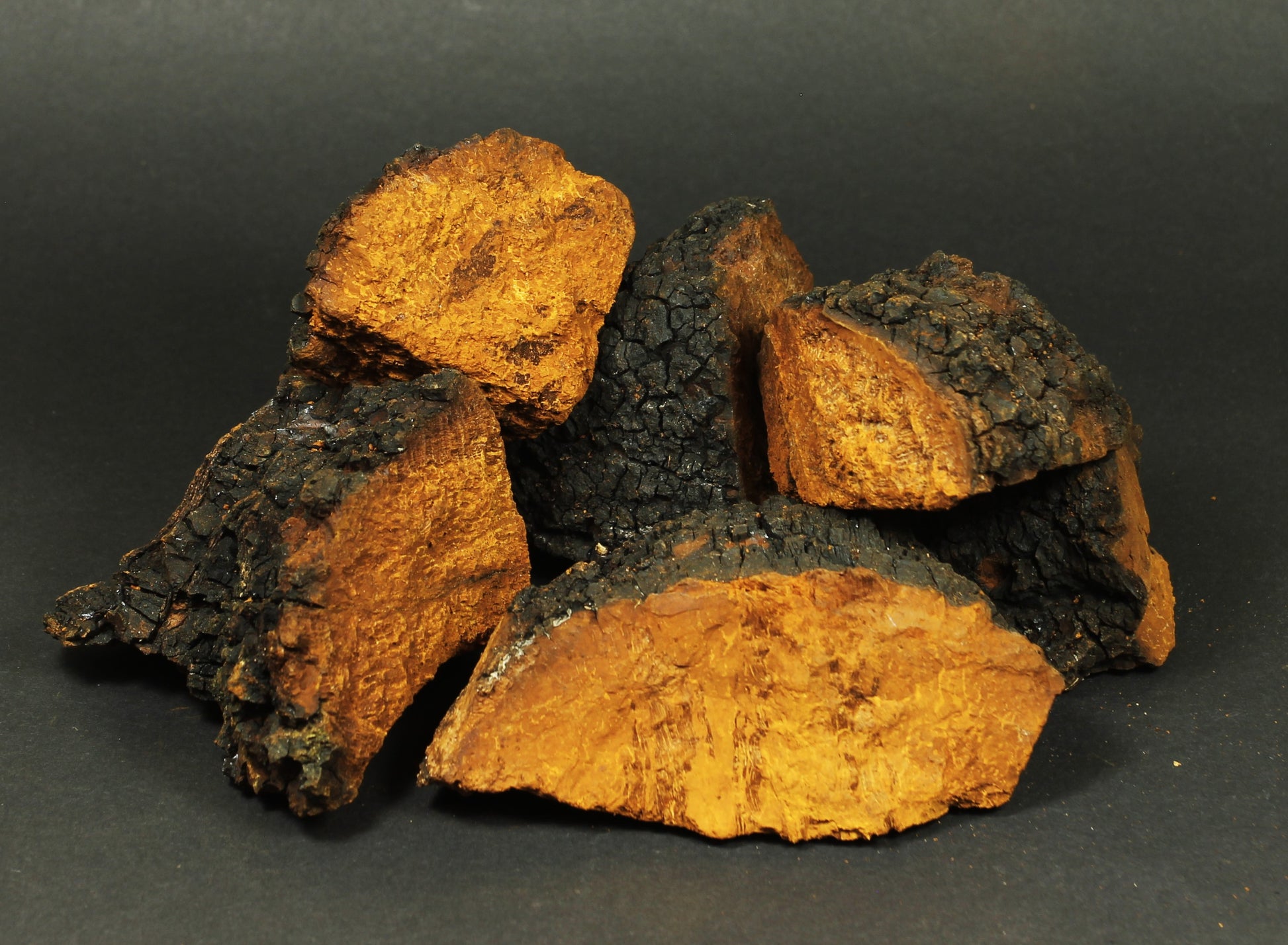 1000g Wilder Chaga Pilz Brocken 1000g getrocknet Schiefer Schillerporling